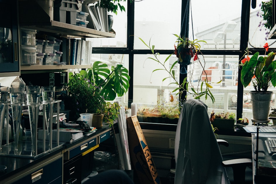 Career Growth in Our Lab